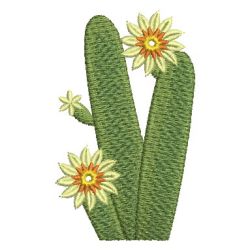 Cactus 05