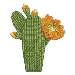 Cactus 08