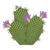 Cactus 06