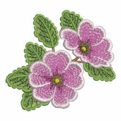 Primroses 2 04