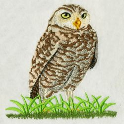 Owls machine embroidery designs