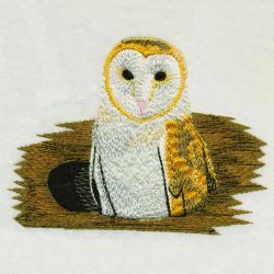 Owls 03 machine embroidery designs