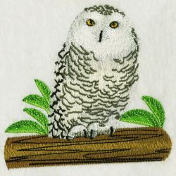 Owls 05 machine embroidery designs