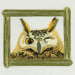 Owls 06