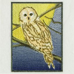 Owls 07 machine embroidery designs