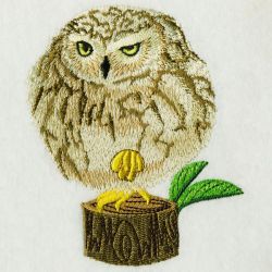 Owls 08