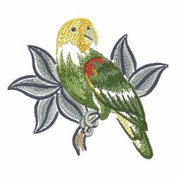 Brush Painting Parrots 2 05 machine embroidery designs