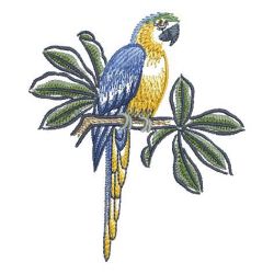 Brush Painting Parrots 2 06 machine embroidery designs