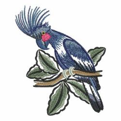 Brush Painting Parrots 2 09 machine embroidery designs