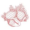 Redwork Seashells 10(Lg)