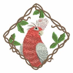 Cute Parrots 1 03 machine embroidery designs