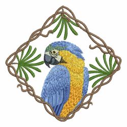 Cute Parrots 1 06
