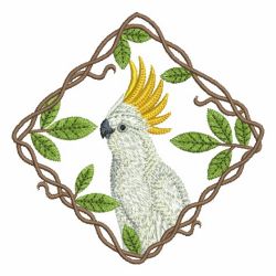 Cute Parrots 1 08 machine embroidery designs