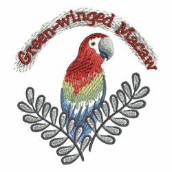 Brush Painting Parrots 02 machine embroidery designs