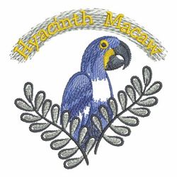Brush Painting Parrots 10 machine embroidery designs