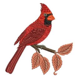 Autumn Cardinals 05