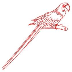 Redwork Parrots 05(Md) machine embroidery designs