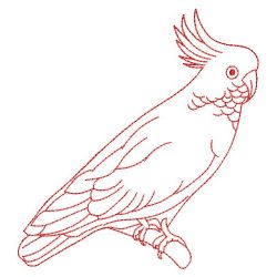 Redwork Sulphur-Crested Parrots 08(Md) machine embroidery designs