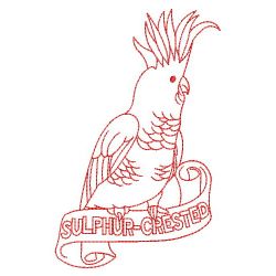 Redwork Sulphur-Crested Parrots 10(Lg) machine embroidery designs