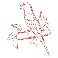 Redwork Sun Conure Parrots(Md) machine embroidery designs