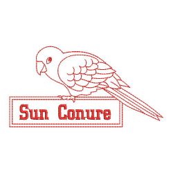 Redwork Sun Conure Parrots 02(Lg) machine embroidery designs