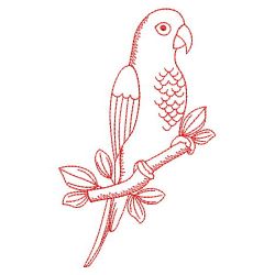 Redwork Sun Conure Parrots 04(Lg) machine embroidery designs