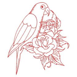 Redwork Sun Conure Parrots 05(Lg) machine embroidery designs