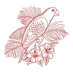 Redwork Sun Conure Parrots 09(Md) machine embroidery designs