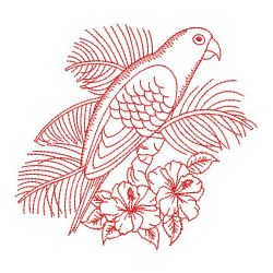 Redwork Sun Conure Parrots 09(Lg)