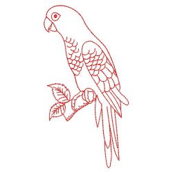 Redwork Sun Conure Parrots 10(Lg) machine embroidery designs