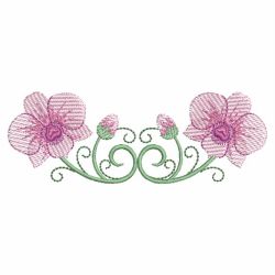 Heirloom Orchid 10