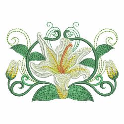 Heirloom Colorful Lily 12