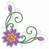 Heirloom Purple Flowers