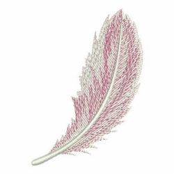 Feathers 07