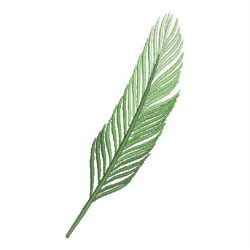 Feathers 2 06 machine embroidery designs