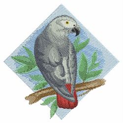 Watercolor Parrot(Md) machine embroidery designs