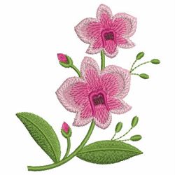 Australian Wildflowers machine embroidery designs