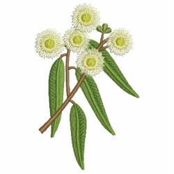 Australian Wildflowers 12 machine embroidery designs