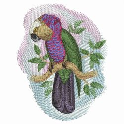 Watercolor Parrot 2 02(Lg) machine embroidery designs