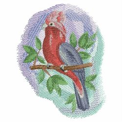 Watercolor Parrot 2 03(Md) machine embroidery designs