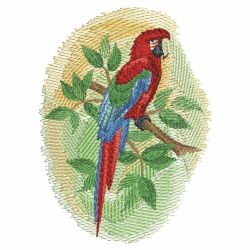 Watercolor Parrot 2 07(Sm) machine embroidery designs