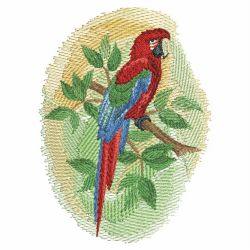 Watercolor Parrot 2 07(Lg)