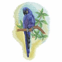 Watercolor Parrot 2 08(Md) machine embroidery designs