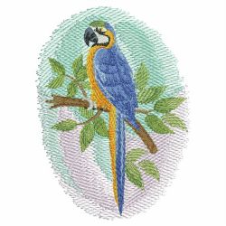 Watercolor Parrot 2 09(Sm) machine embroidery designs