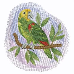 Watercolor Parrot 2 10(Sm) machine embroidery designs