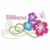 Hibiscus 07(Md)