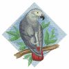 Watercolor Parrot 01(Sm)