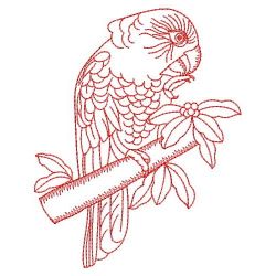 Hawk Headed Parrot 07(Sm) machine embroidery designs