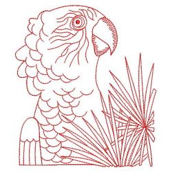 Hawk Headed Parrot 12(Sm) machine embroidery designs