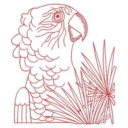 Hawk Headed Parrot 12(Md) machine embroidery designs